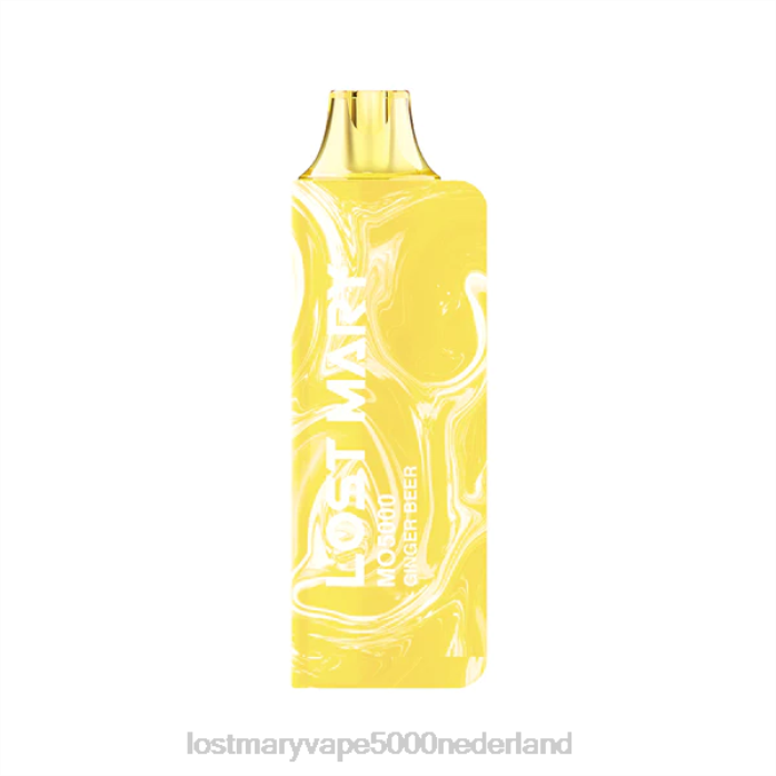 gemberbier